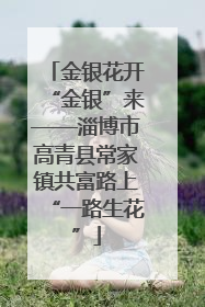 金银花开“金银”来——淄博市高青县常家镇共富路上“一路生花”